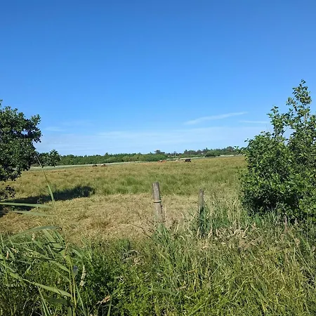 Cozy Retreat In - By Traum Vakantiehuis