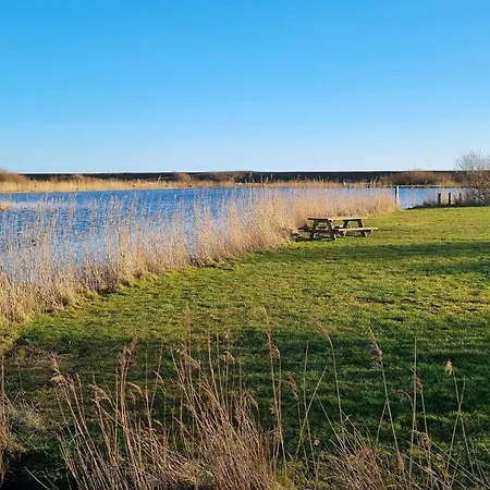 4 Star Holiday Home In Blavand *