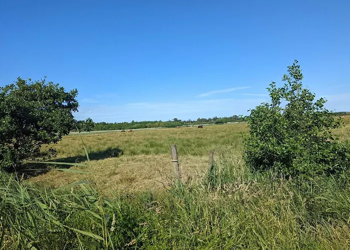 Cozy Retreat In - By Traum Vakantiehuis